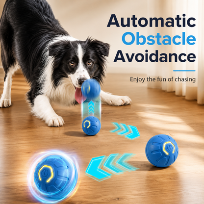 Smart Electric Pet Ball
