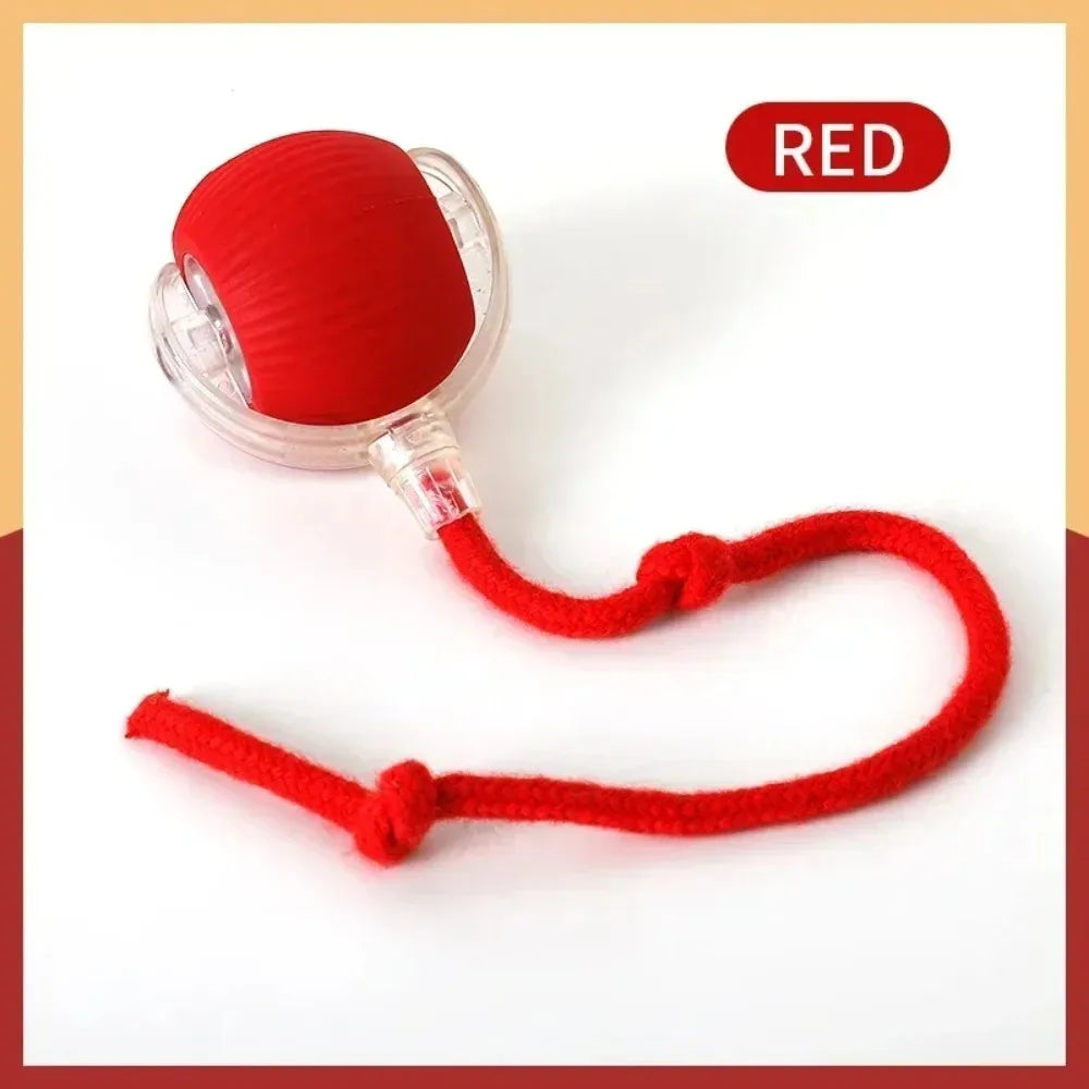 Rechargeable Cat Rolling Ball Toy