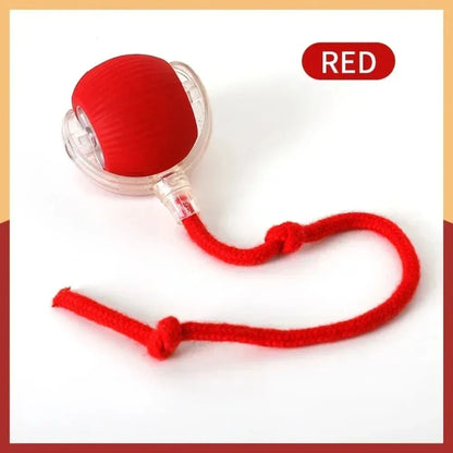 Rechargeable Cat Rolling Ball Toy