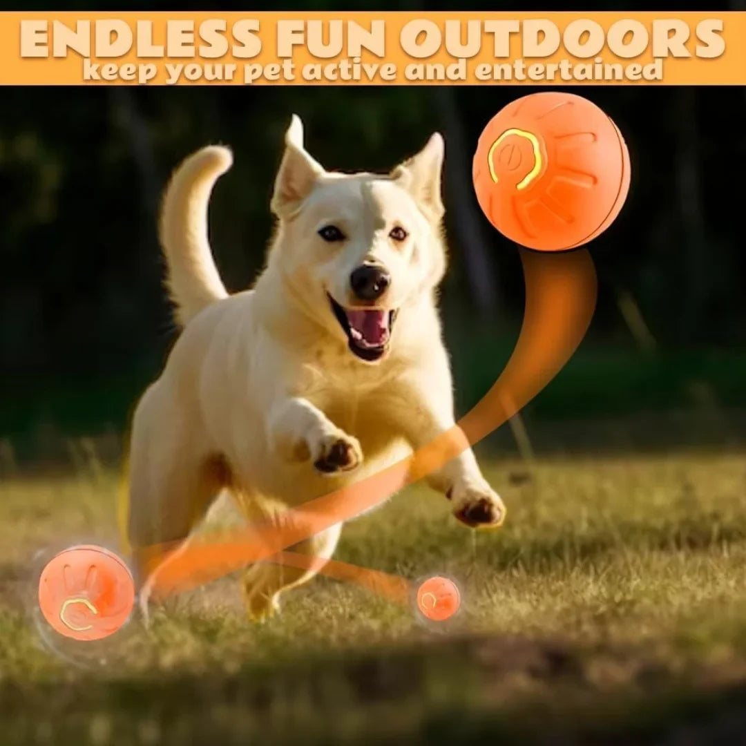 Smart Electric Pet Ball