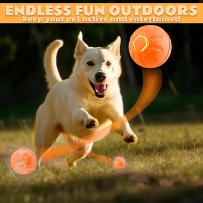 Smart Electric Pet Ball