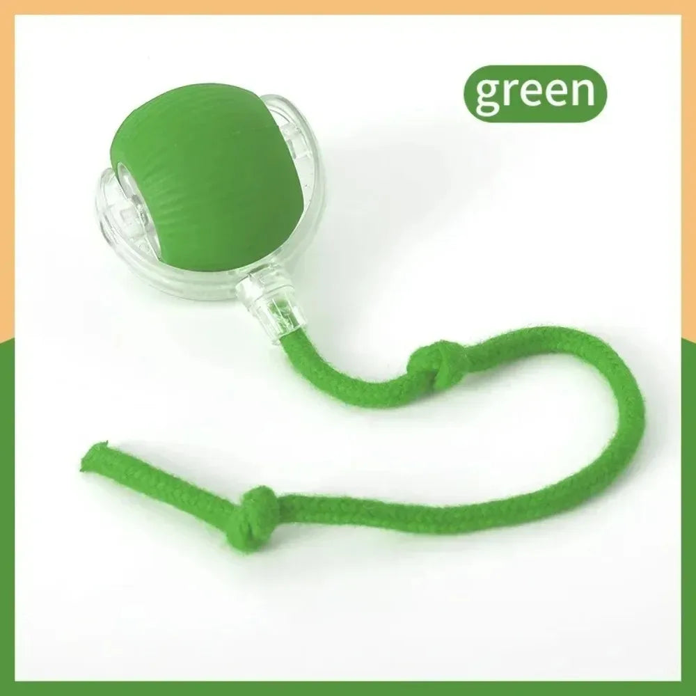 Rechargeable Cat Rolling Ball Toy