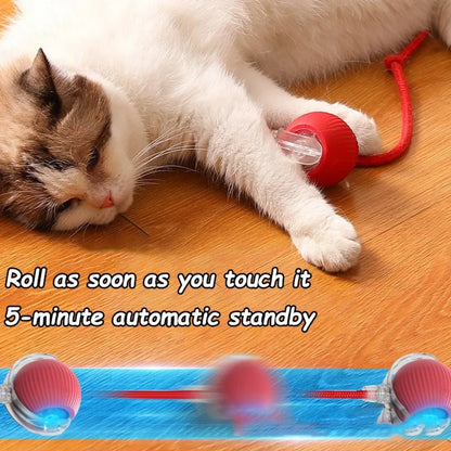 Rechargeable Cat Rolling Ball Toy