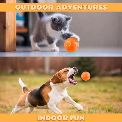 Smart Electric Pet Ball