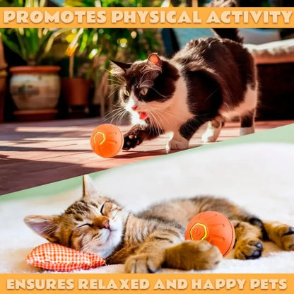 Smart Electric Pet Ball