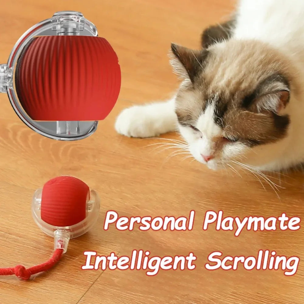 Rechargeable Cat Rolling Ball Toy