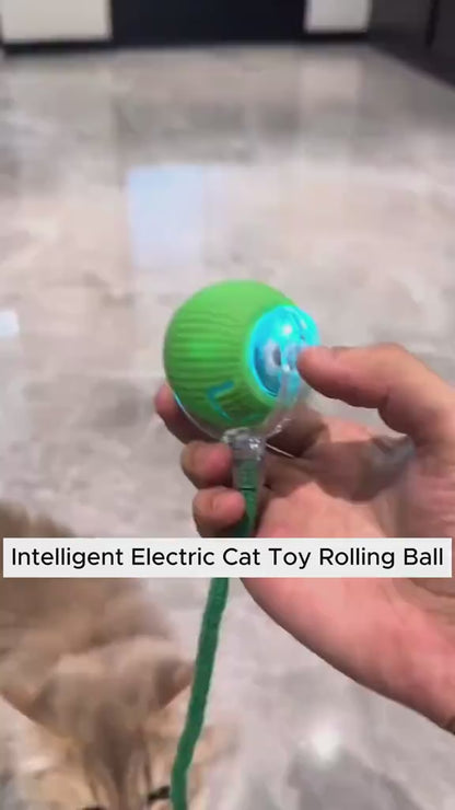 Rechargeable Cat Rolling Ball Toy