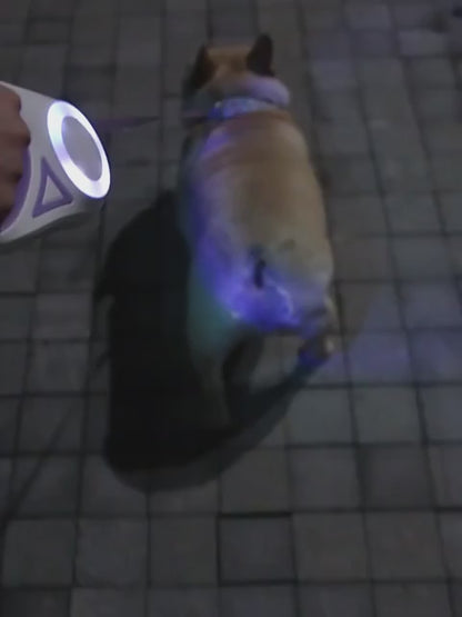 LED Retractable Dog Leash