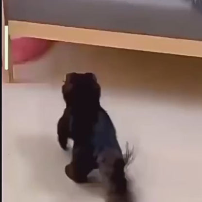 Smart Electric Pet Ball